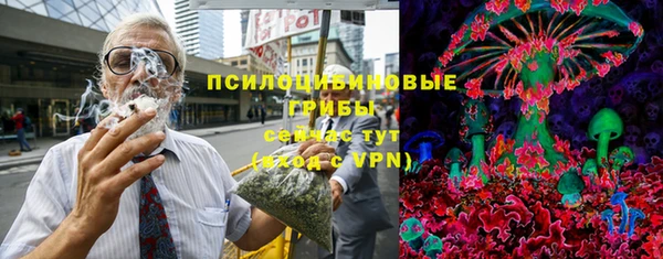 apvp Алексин