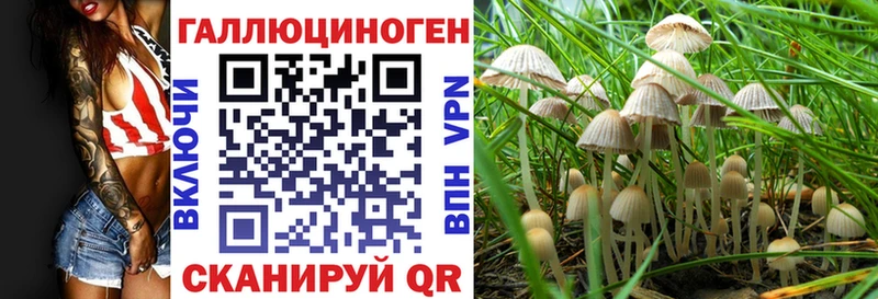 продажа наркотиков  Мостовской  Галлюциногенные грибы Magic Shrooms 